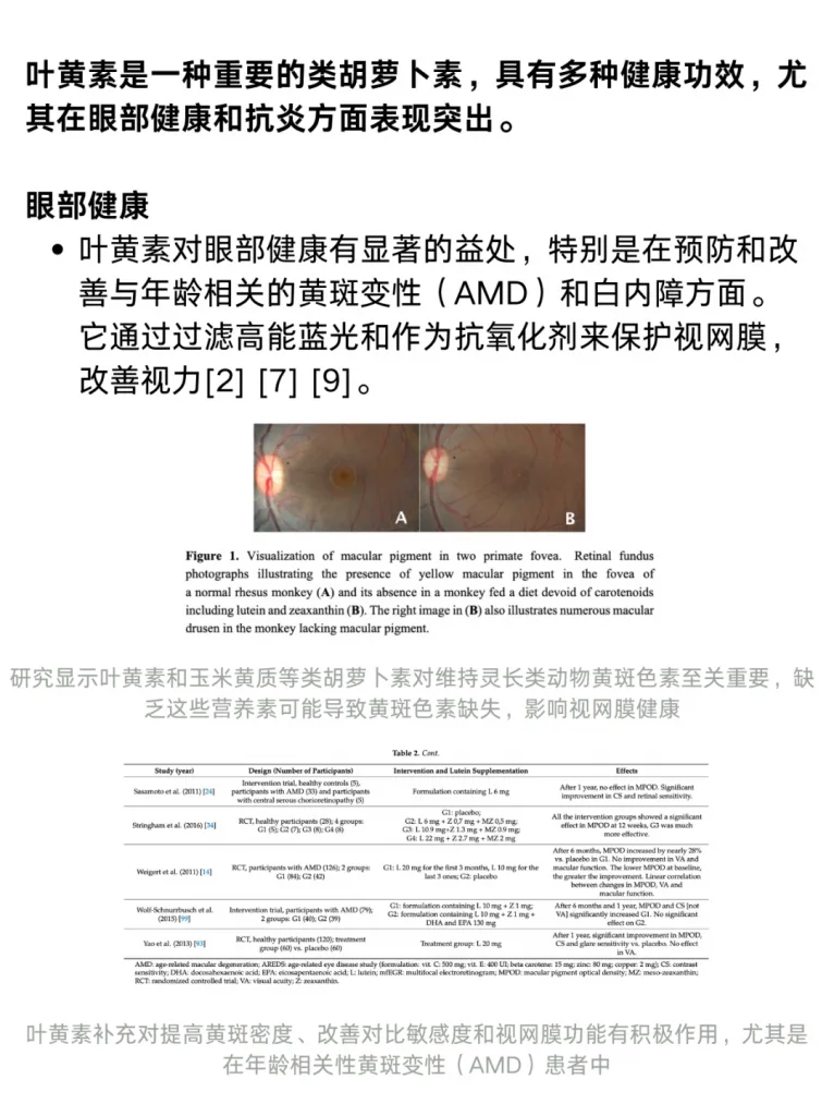 文献综述：叶黄素的功效与作用，叶黄素是如何保护眼睛的？历史资料图 2