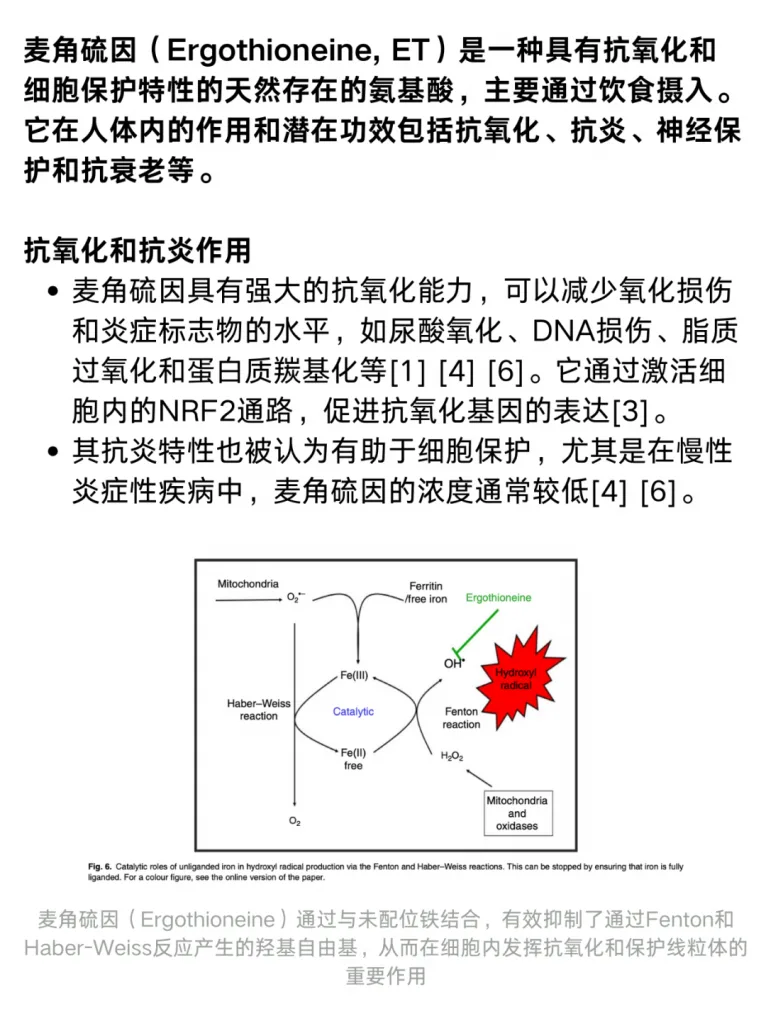 文献综述：麦角硫因的功效与作用是？历史资料图 2