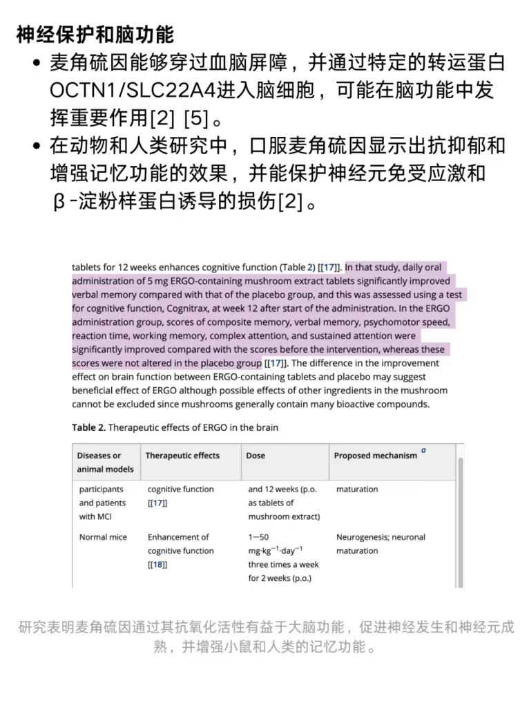 文献综述：麦角硫因的功效与作用是？历史资料图 3