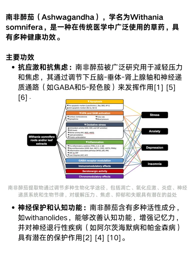 文献综述丨南非醉茄的功效是？对稳定情绪有用吗？历史资料图 2