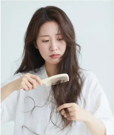 发质脆弱人群